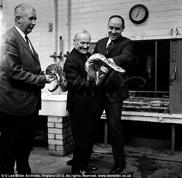 Unknown, Joan Miro, Desmond Morris and Snake, London Zoo, England 1964' by Lee Miller