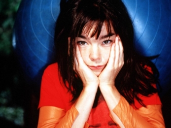 Icelandic Musician Björk. Image Source: HQ Wall