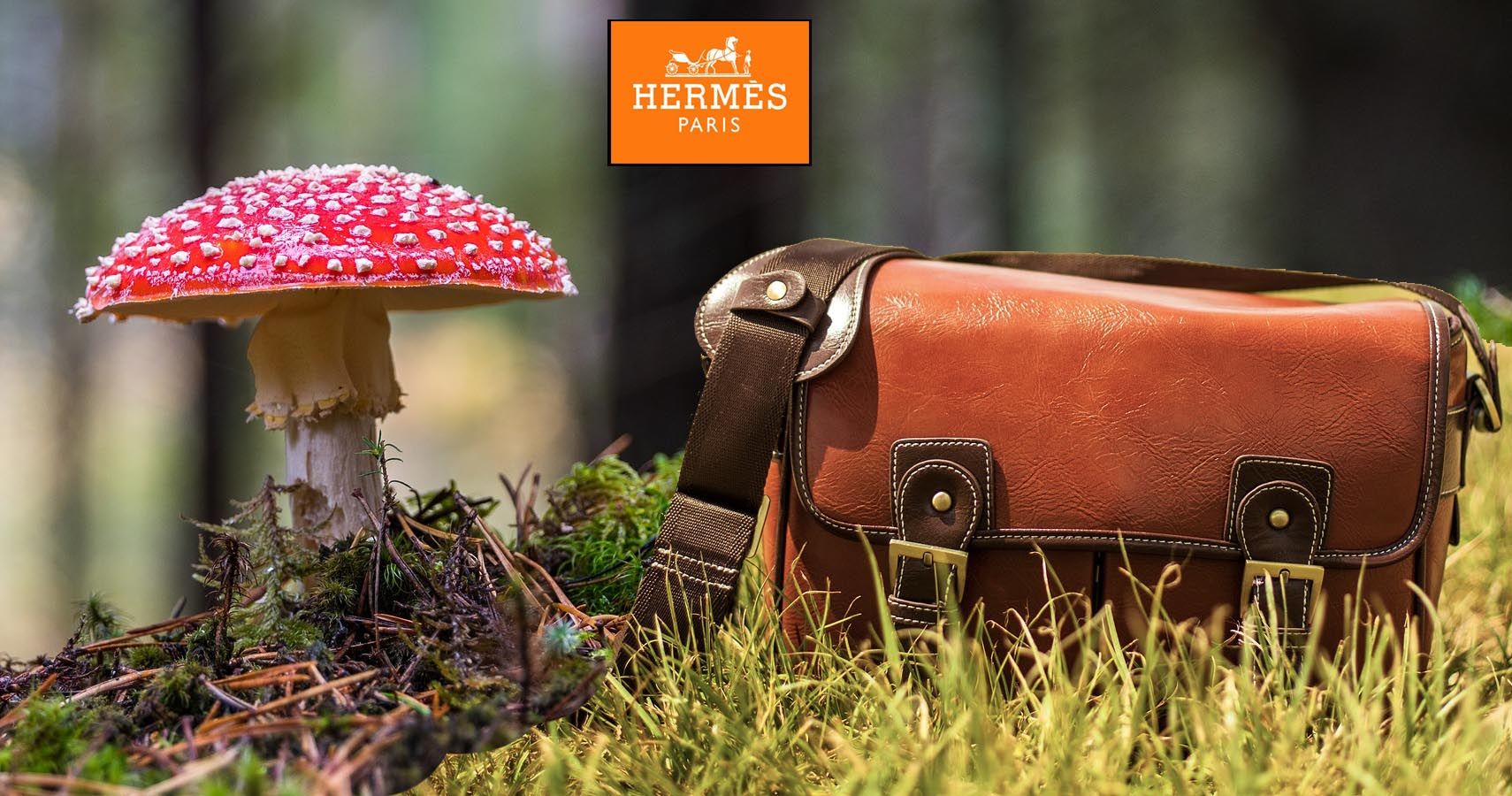 Hermès launches a mushroom-based leather bag