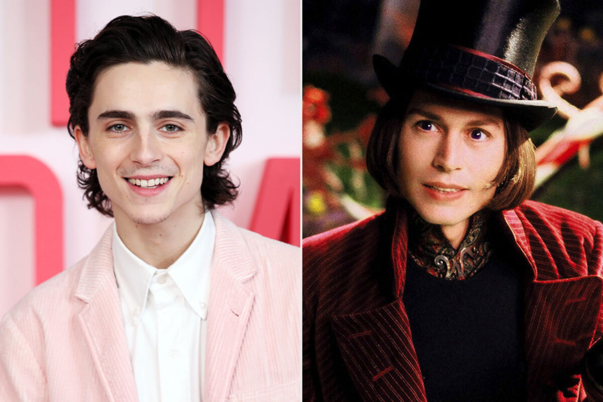 Timothée Chalamet to Star as Young Willy Wonka in Prequel FIB